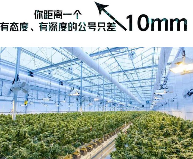 &#20061;&#28216;&#23448;&#26041;&#32593;&#39029;&#29256;&#45;&#20061;&#28216;&#40;&#20013;&#22269;&#41;