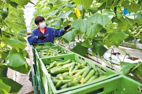 &#20061;&#28216;&#23448;&#26041;&#32593;&#39029;&#29256;&#45;&#20061;&#28216;&#40;&#20013;&#22269;&#41;